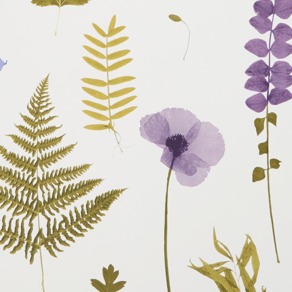 Herbarium Wallpaper W0091 03 by Clarke and Clarke in Heather Purple